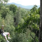 Ziplining: A Thrill and a Treat in the Canopy