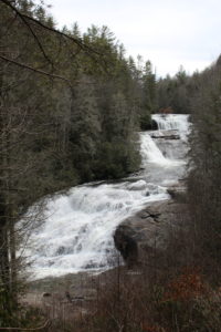 Dupont State Forest, Asheville, NC