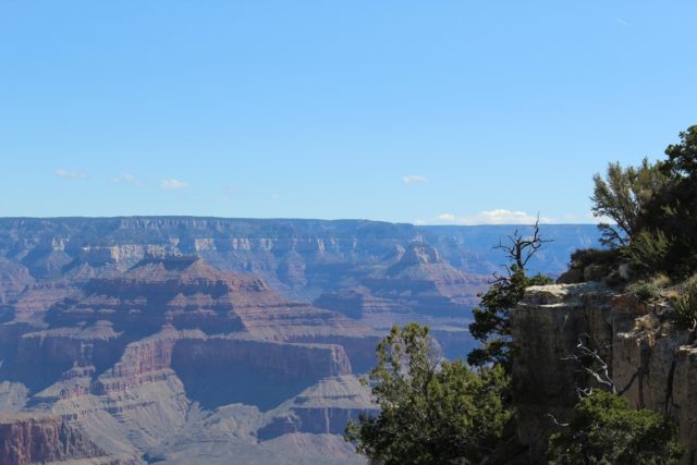 At the edge of the Grand Canyon
