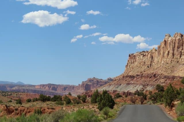Cherry Pie in Capitol Reef National Park