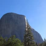 Peak Season in Yosemite National Park