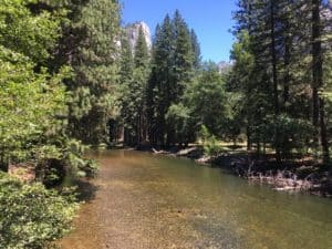 Yosemite National Park